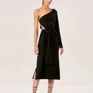 BNWT Alexis Royale One Shoulder Dress - current collection!